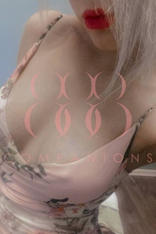 Escort Carla C - 888 Companions