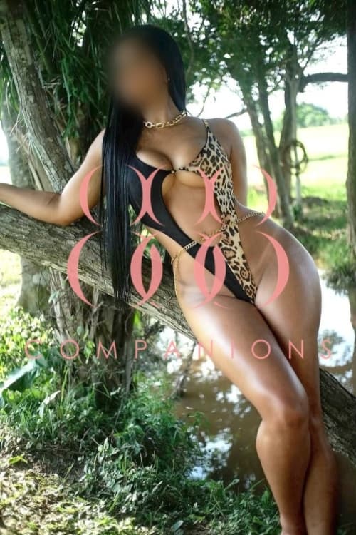Escort Alicia B - 888 Companions