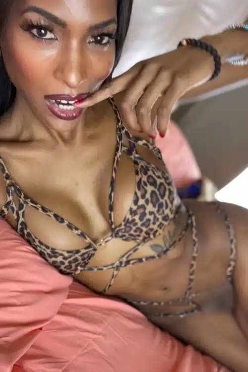 Escort TS Natassia Dreams - 888 Companions